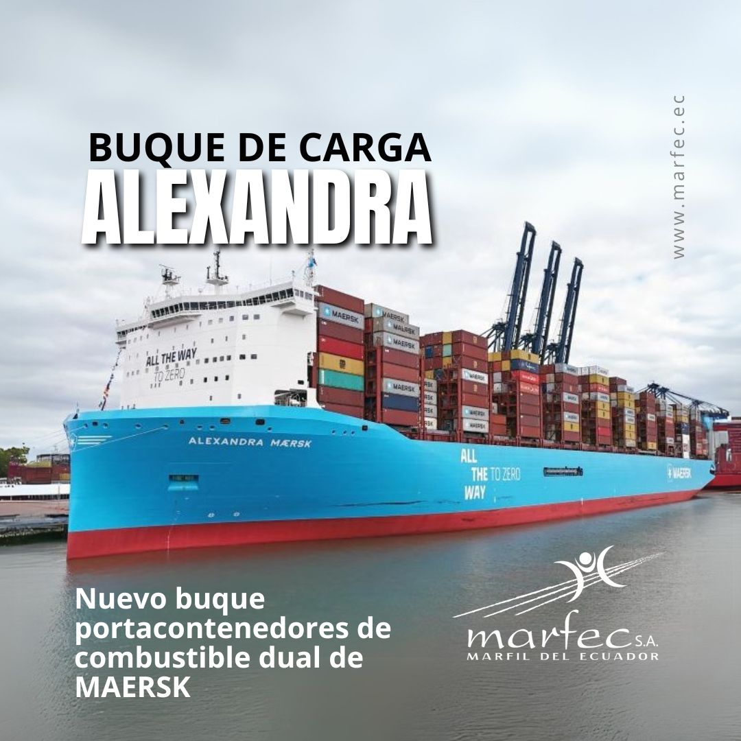 Maersk bota nuevo buque de combustible dual metanol llamado «Alexandra Maersk»