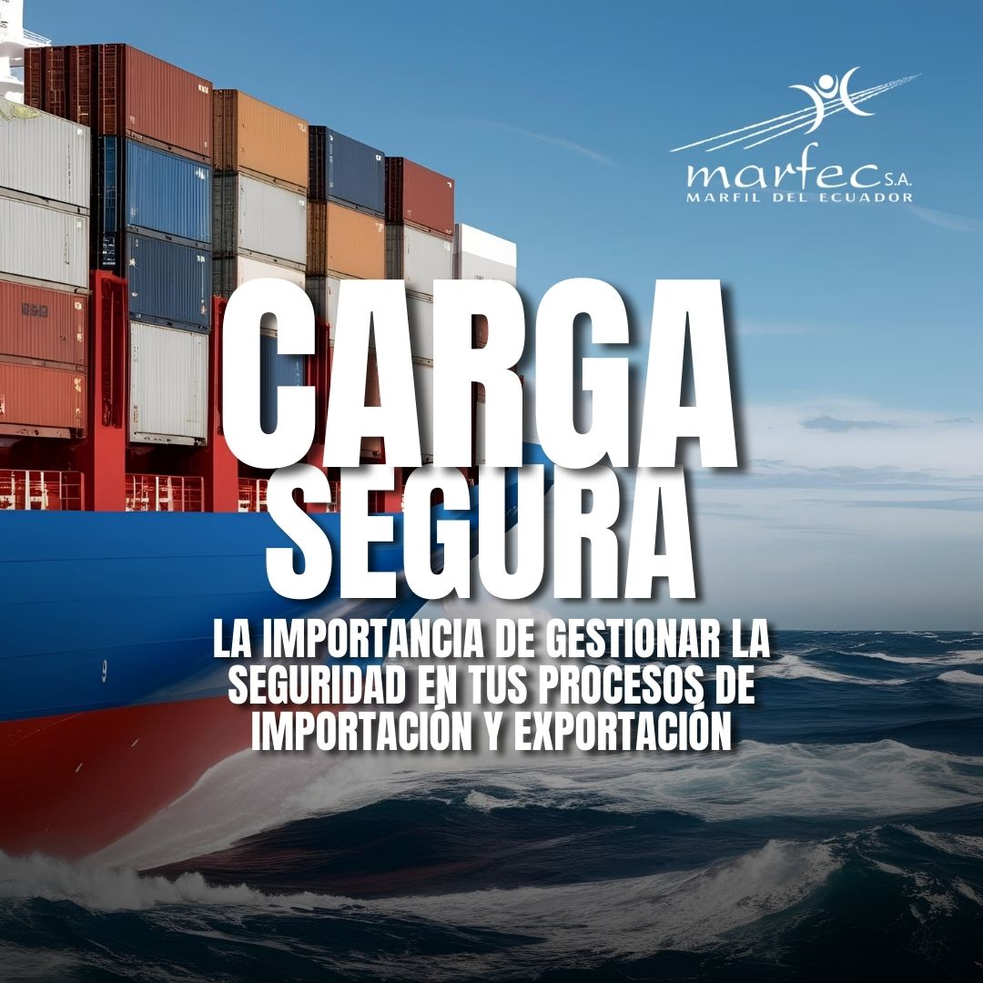 La importancia de asegurar tu carga de importación