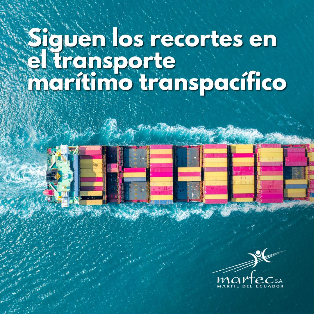 Siguen los recortes en el transporte marítimo transpacífico