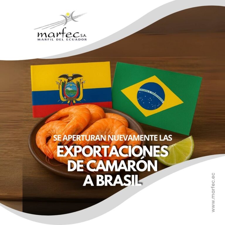 El camarón ecuatoriano volverá a exportarse a Brasil