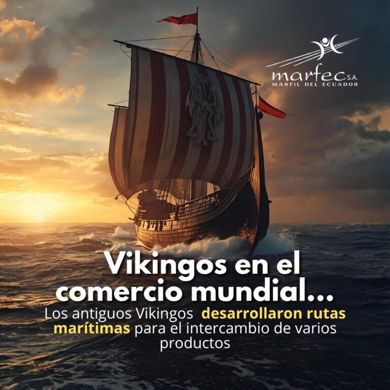 Vikingos Viniland Comercio internacional