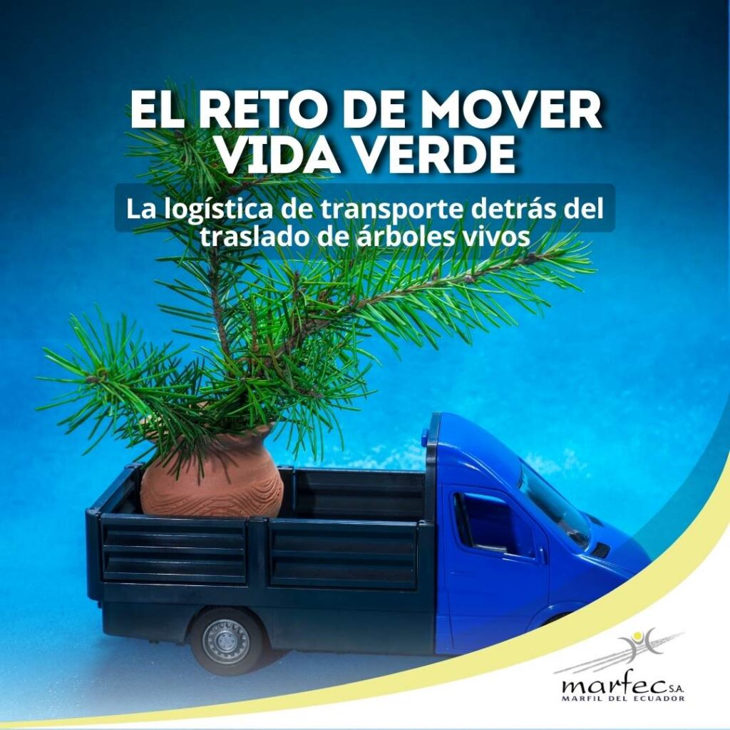 árbol transporte de