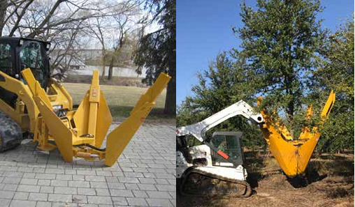 Árboles transporte de